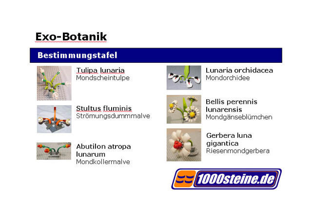 Exo_Botanik_Bestimmungstafel.jpg